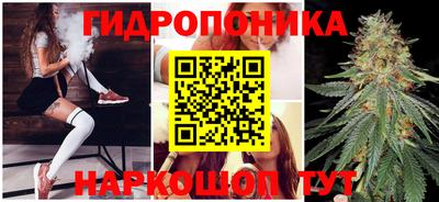 стаф Краснознаменск