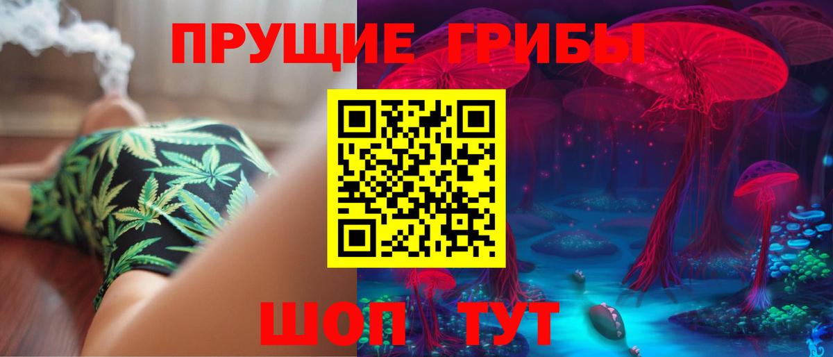 Псилоцибиновые грибы MAGIC MUSHROOMS  Вход с VPN  Псилоцибиновые грибы мицелий  Камень-на-Оби 